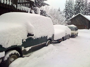 Snow Covered Cars