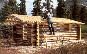 Richard Proenneke building_the_roof Richard Proenneke Building His Roof