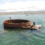 USS Arizona